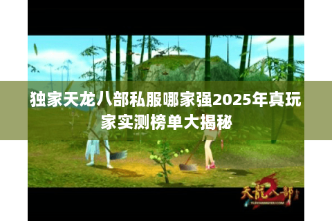 独家天龙八部私服哪家强2025年真玩家实测榜单大揭秘