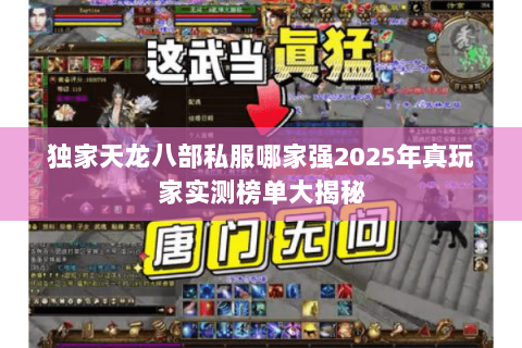 独家天龙八部私服哪家强2025年真玩家实测榜单大揭秘