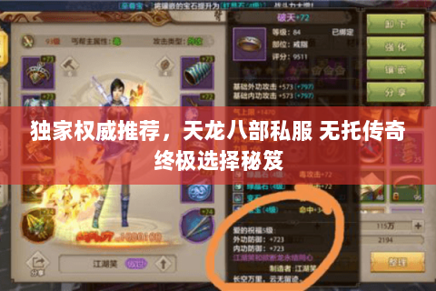 独家权威推荐，天龙八部私服 无托传奇终极选择秘笈