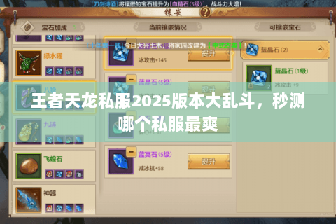 王者天龙私服2025版本大乱斗，秒测哪个私服最爽