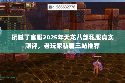 玩腻了官服2025年天龙八部私服真实测评，老玩家私藏三站推荐