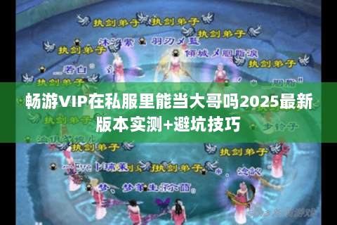 畅游VIP在私服里能当大哥吗2025最新版本实测+避坑技巧
