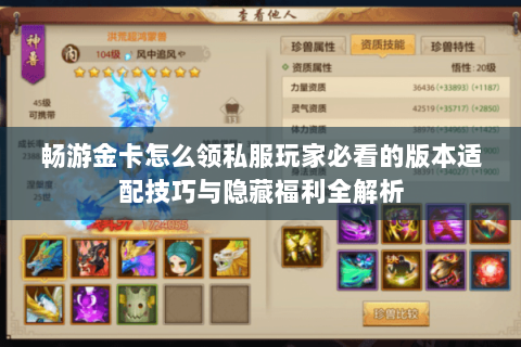 畅游金卡怎么领私服玩家必看的版本适配技巧与隐藏福利全解析