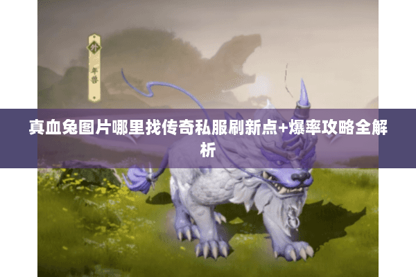 真血兔图片哪里找传奇私服刷新点+爆率攻略全解析