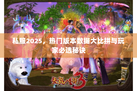 私服2025，热门版本数据大比拼与玩家必选秘诀