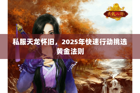 私服天龙怀旧，2025年快速行动挑选黄金法则