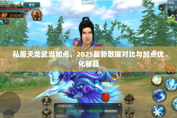 私服天龙武当加点,2025最新数据对比与加点优化秘籍 私服天龙武当加点,2025最新数据对比与加点优化秘籍