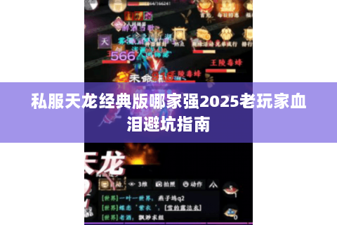 私服天龙经典版哪家强2025老玩家血泪避坑指南