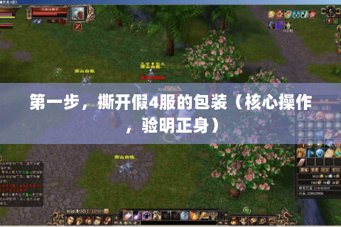 第一步，撕开假4服的包装（核心操作，验明正身）