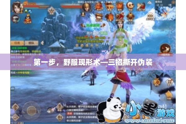 第一步，野服现形术—三招撕开伪装