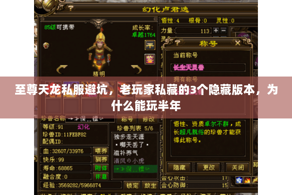至尊天龙私服避坑，老玩家私藏的3个隐藏版本，为什么能玩半年