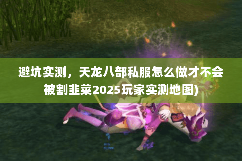 避坑实测，天龙八部私服怎么做才不会被割韭菜2025玩家实测地图)