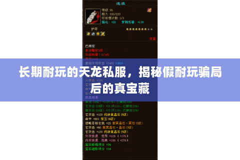 长期耐玩的天龙私服，揭秘假耐玩骗局后的真宝藏