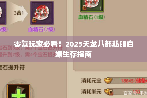 零氪玩家必看！2025天龙八部私服白嫖生存指南