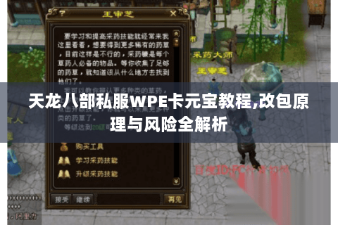 天龙八部私服WPE卡元宝教程,改包原理与风险全解析