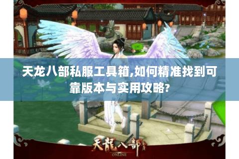 天龙八部私服工具箱,如何精准找到可靠版本与实用攻略?