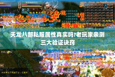 天龙八部私服属性真实吗?老玩家亲测三大验证诀窍