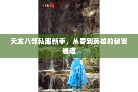 天龙八部私服新手，从零到英雄的秘密通道
