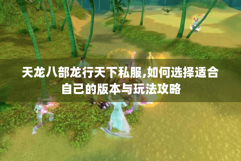 天龙八部龙行天下私服,如何选择适合自己的版本与玩法攻略