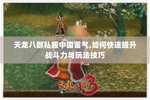 天龙八部私服中国蓄气,如何快速提升战斗力与玩法技巧