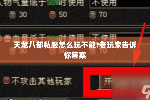 天龙八部私服怎么玩不能?老玩家告诉你答案