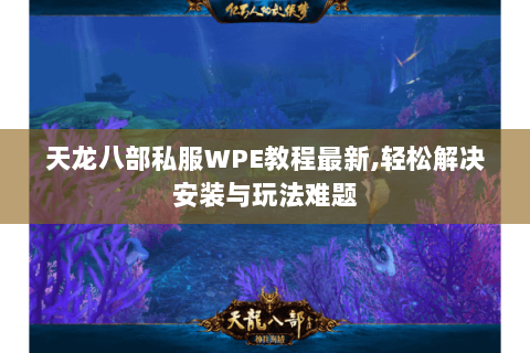 天龙八部私服WPE教程最新,轻松解决安装与玩法难题