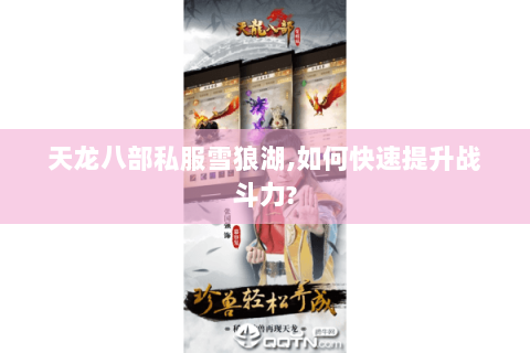 天龙八部私服雪狼湖,如何快速提升战斗力?