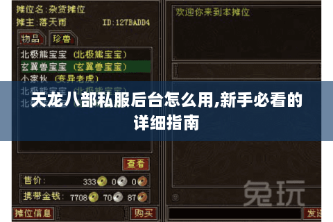 天龙八部私服后台怎么用,新手必看的详细指南