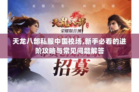 天龙八部私服中国校场,新手必看的进阶攻略与常见问题解答