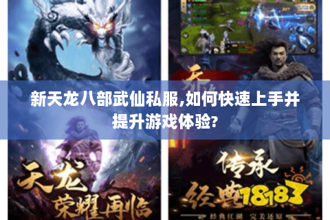 新天龙八部武仙私服,如何快速上手并提升游戏体验?