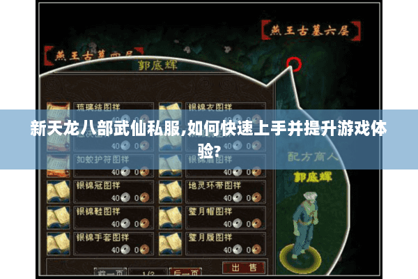 新天龙八部武仙私服,如何快速上手并提升游戏体验?