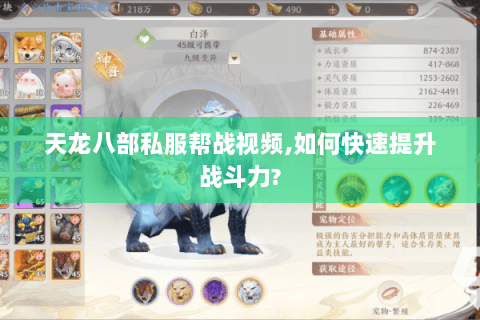 天龙八部私服帮战视频,如何快速提升战斗力?