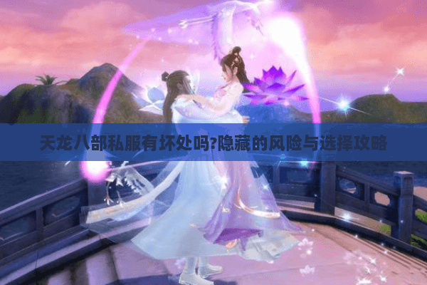 天龙八部私服有坏处吗?隐藏的风险与选择攻略