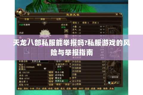 天龙八部私服能举报吗?私服游戏的风险与举报指南