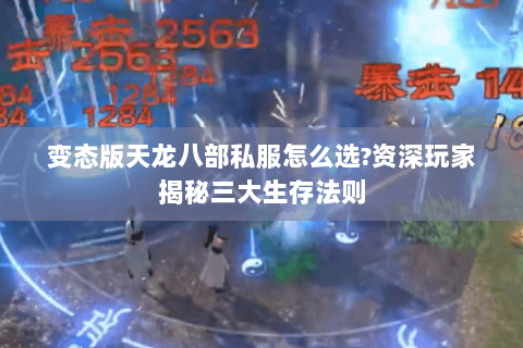 变态版天龙八部私服怎么选?资深玩家揭秘三大生存法则