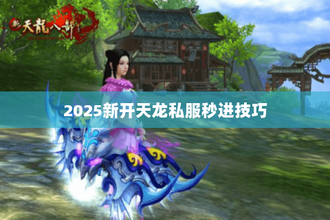 2025新开天龙私服秒进技巧