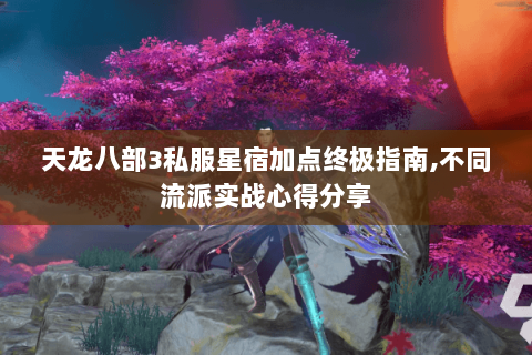 天龙八部3私服星宿加点终极指南,不同流派实战心得分享