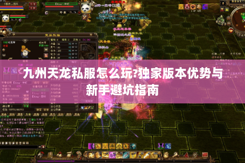 九州天龙私服怎么玩?独家版本优势与新手避坑指南