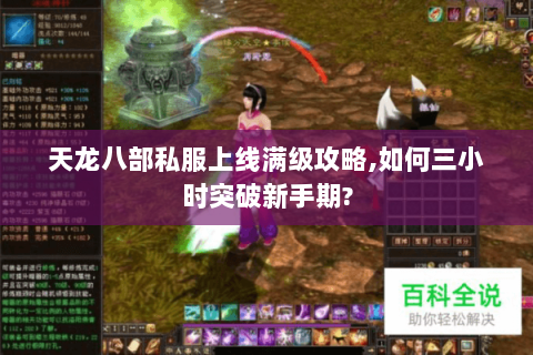 天龙八部私服上线满级攻略,如何三小时突破新手期?