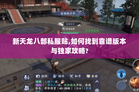 新天龙八部私服贴,如何找到靠谱版本与独家攻略?