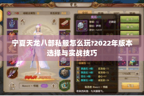 宁夏天龙八部私服怎么玩?2022年版本选择与实战技巧