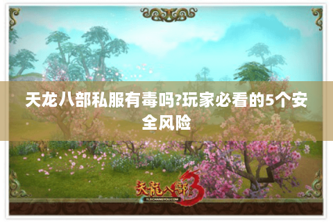 天龙八部私服有毒吗?玩家必看的5个安全风险