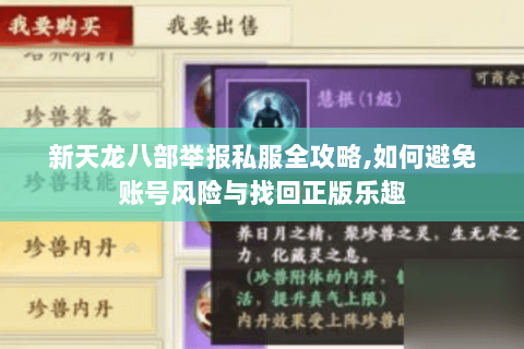 新天龙八部举报私服全攻略,如何避免账号风险与找回正版乐趣