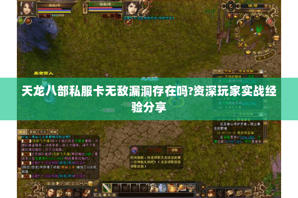 天龙八部私服卡无敌漏洞存在吗?资深玩家实战经验分享