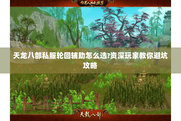 天龙八部私服轮回辅助怎么选?资深玩家教你避坑攻略