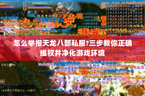 怎么举报天龙八部私服?三步教你正确维权并净化游戏环境 怎么举报天龙八部私服?三步教你正确维权并净化游戏环境