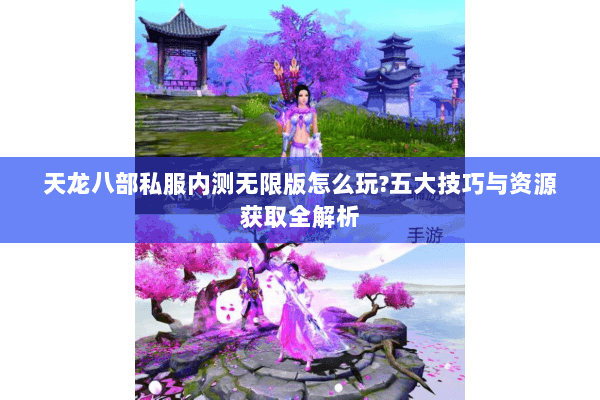 天龙八部私服内测无限版怎么玩?五大技巧与资源获取全解析