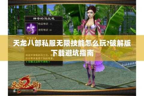 天龙八部私服无限技能怎么玩?破解版下载避坑指南