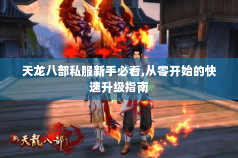 天龙八部私服新手必看,从零开始的快速升级指南
