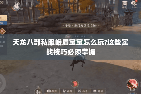 天龙八部私服峨眉宝宝怎么玩?这些实战技巧必须掌握